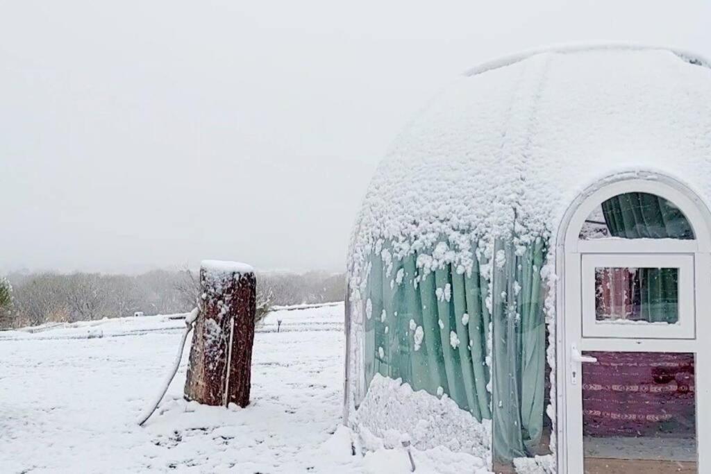 Stargazing Retreats Homestay Камп Верде Стая снимка